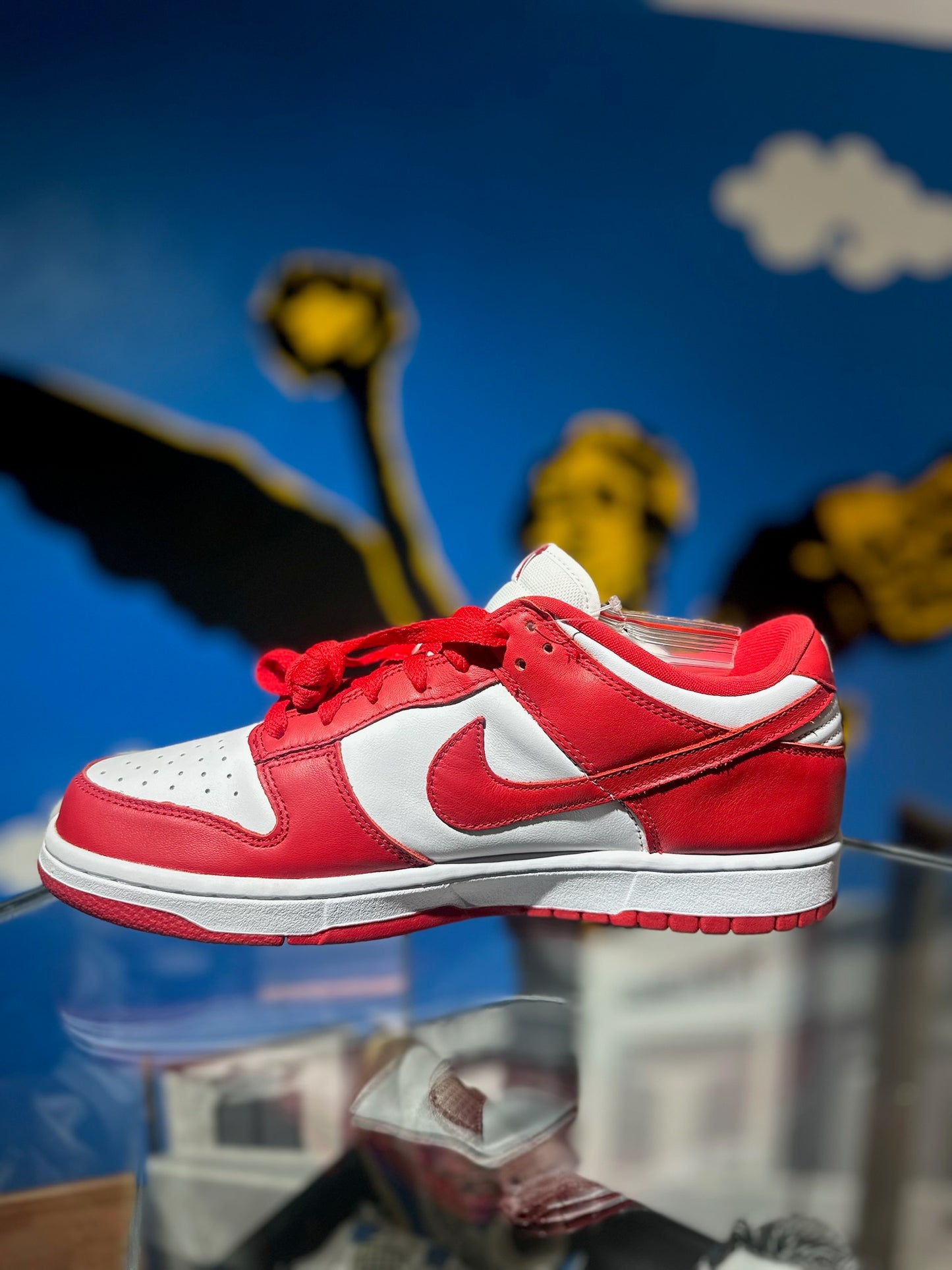 DUNK UNIVERSITY RED