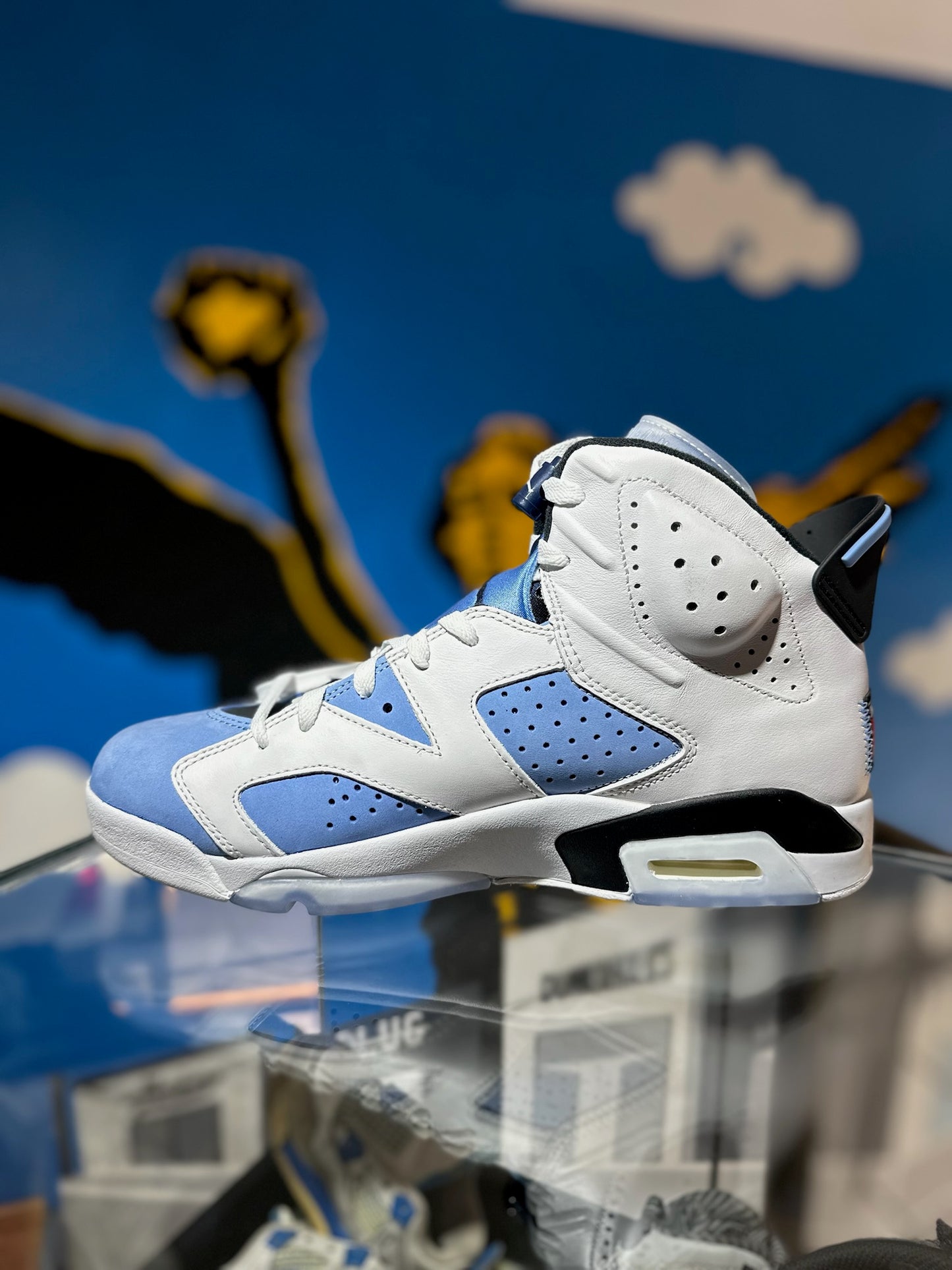 AIR JORDAN 6 UNC